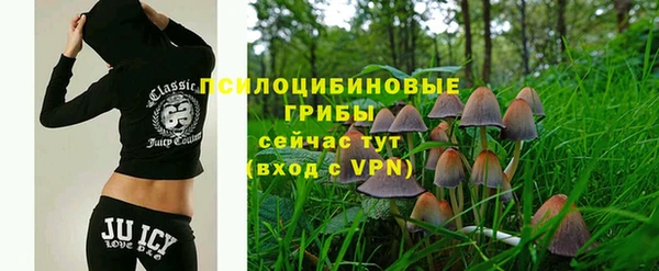спиды Кострома