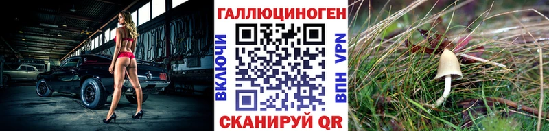 цены   Удачный  Галлюциногенные грибы Psilocybe 